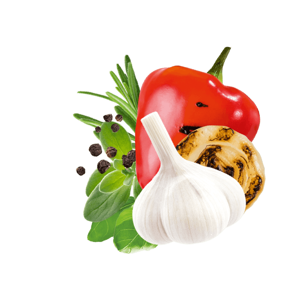 Paprika, Knoblauch, gegrillte Zwiebel, Rosmarin und Majoran