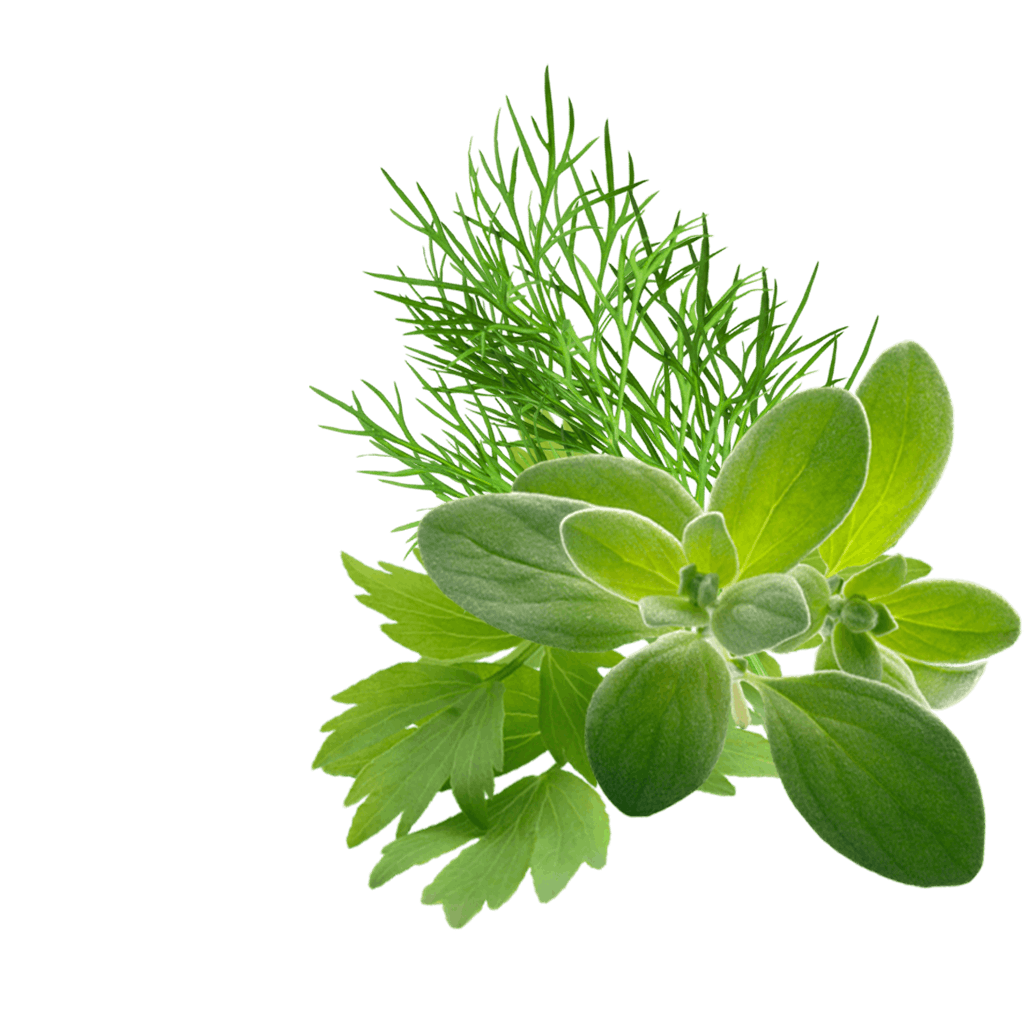 Transylvanian Herbs Content Pl