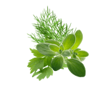 Transylvanian Herbs Content Pl