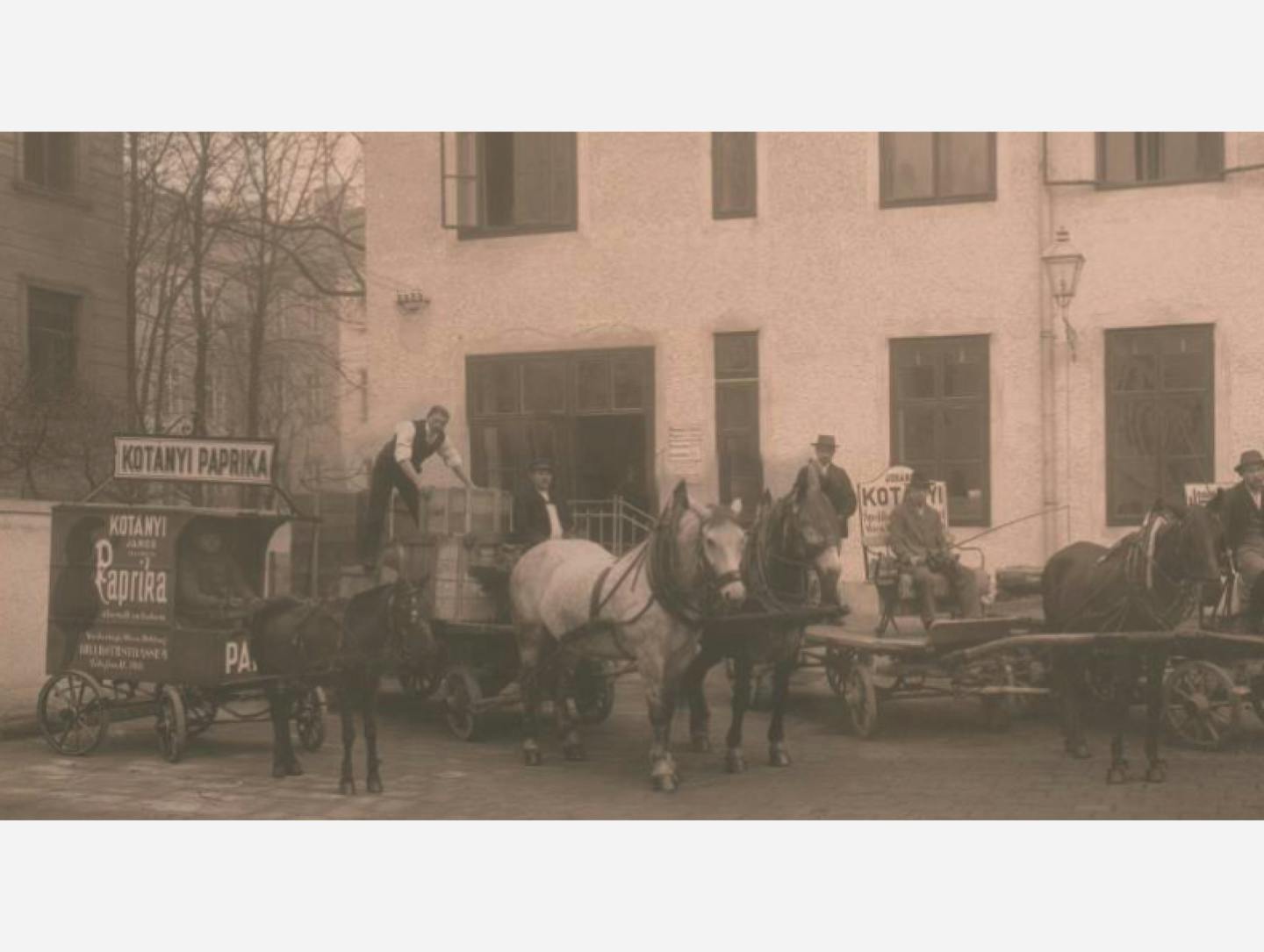 Czarno-biała fotografia: dostawy papryki wozami konnymi w 1881 r.