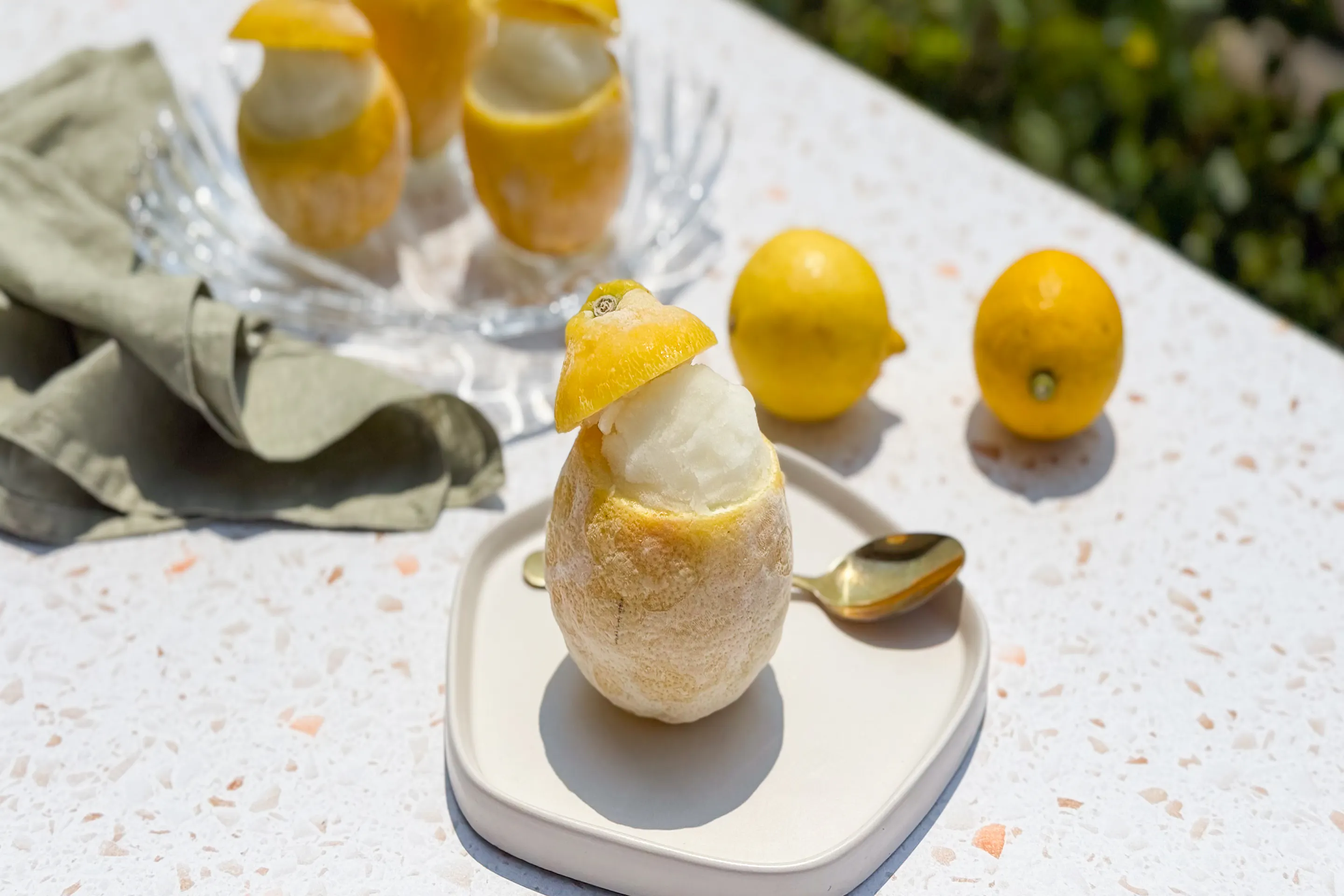 Img 5571
